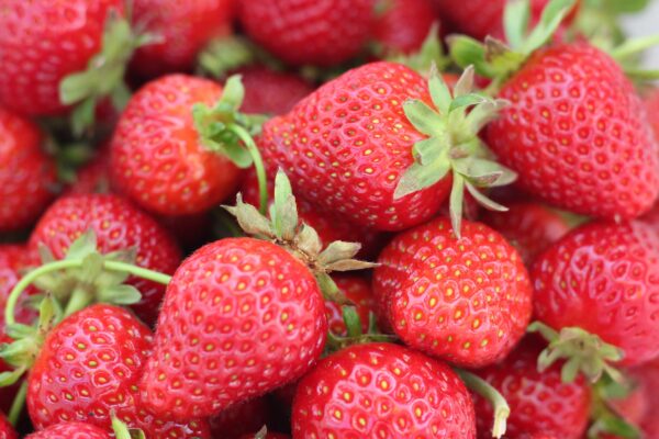 Fraise Anais