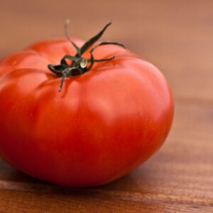 Tomate Saint Pierre plant potager