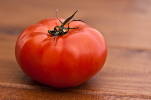 Tomate Saint Pierre plant potager