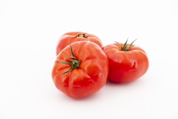 tomate super steak potager