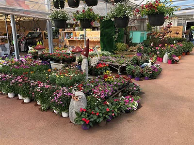 jardinerie à beaupréau