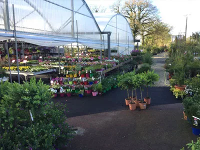 jardinerie à Nantes