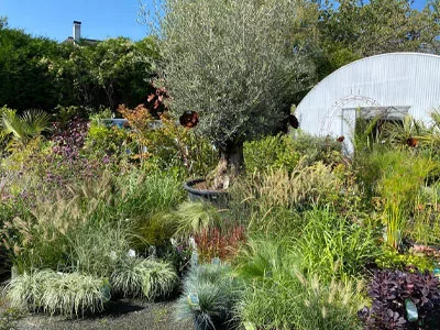 jardinerie à Segré