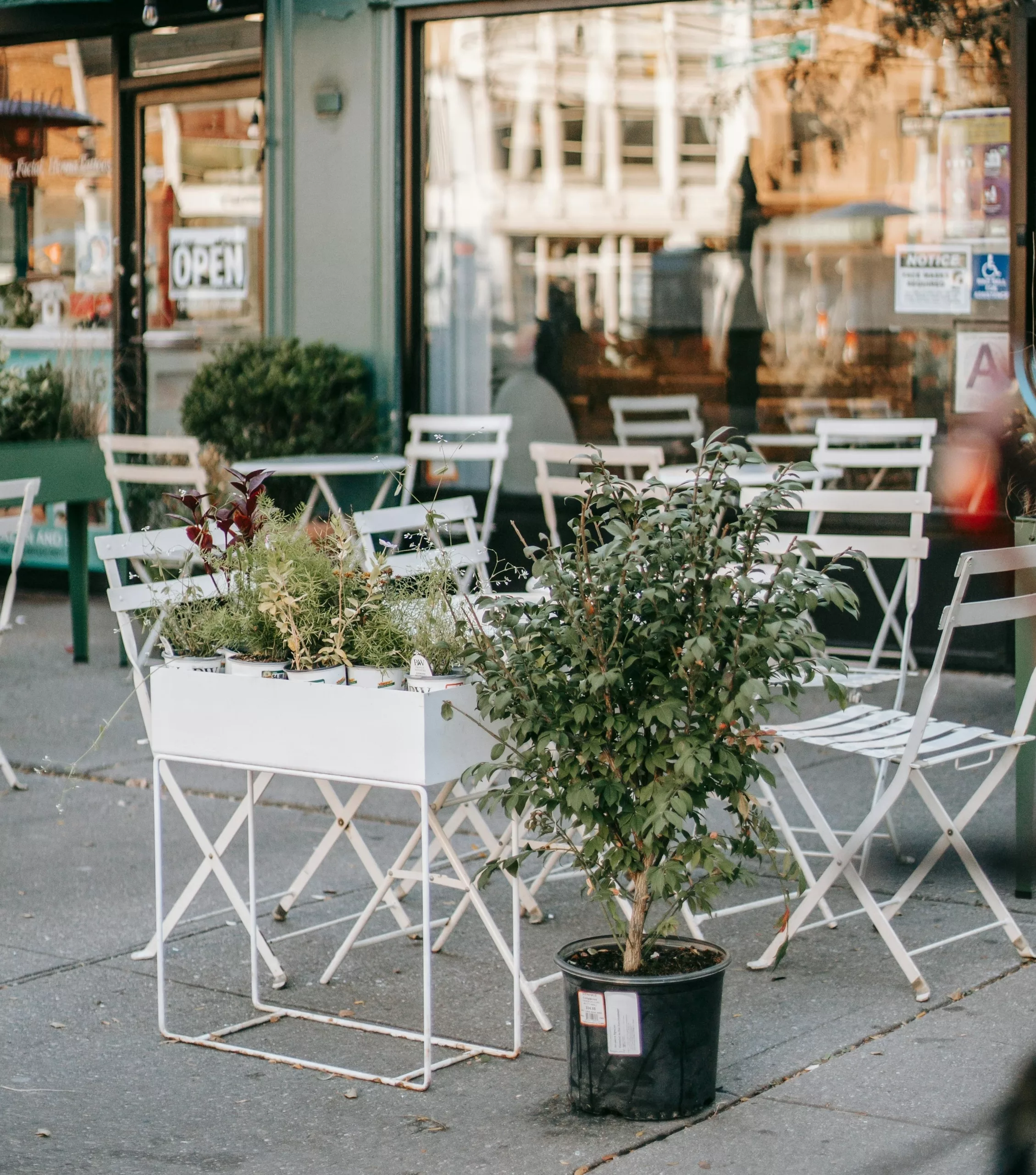 Terrasse restaurant fleur.